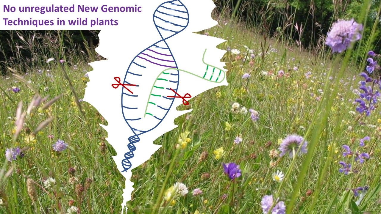 Do not deregulate New Genomic Techniques (NGT) for wild plants!